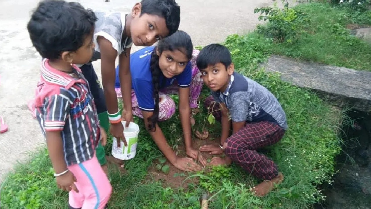 Sapling planting · Green Drive 15 Aug