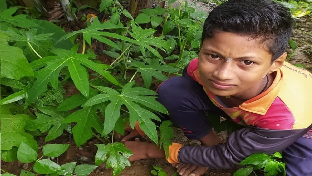 Project BoN evaluation · Haliyal